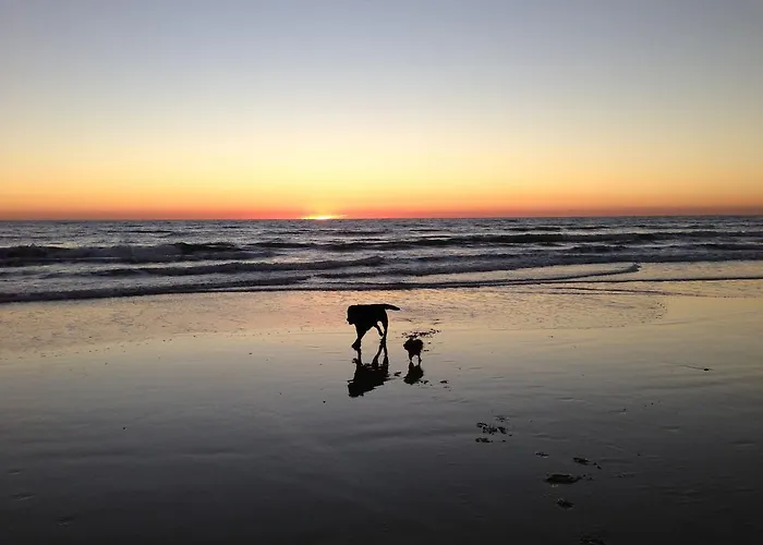 Alojamientos Destacados en Bolonia