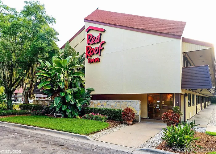 Discover the Best Hotels Close to Seminole Hard Rock Tampa